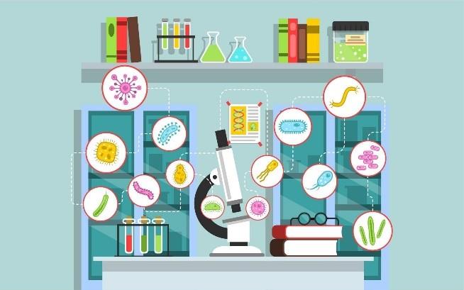 فرصتهای شغلی رشته ویروسشناسی پزشکی